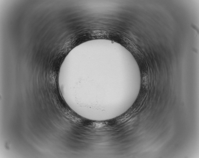 X0000095880662200802081056