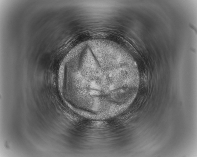 X0000095880663200802081056