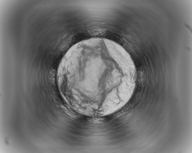 X0000095880664200802081056