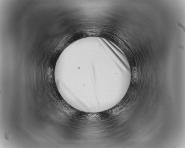 X0000095880667200802081056