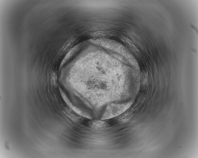 X0000095880669200802081056