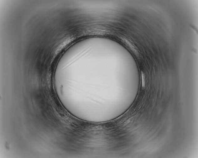 X0000095880675200802081055