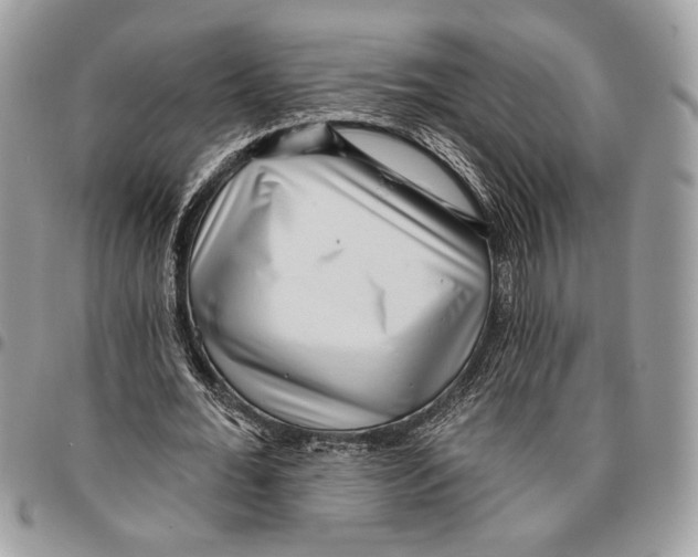 X0000095880676200802081055