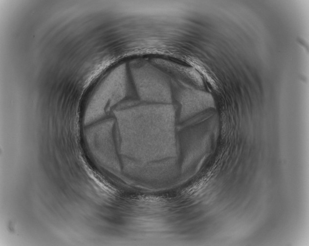 X0000095880677200802081055