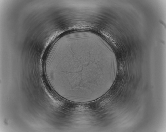 X0000095880678200802081055