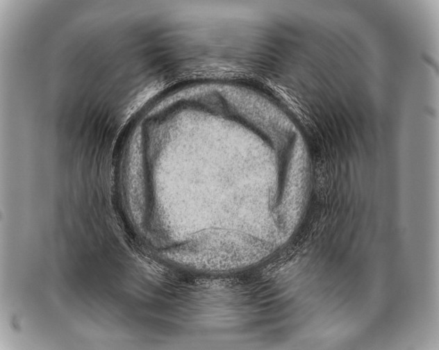 X0000095880679200802081055