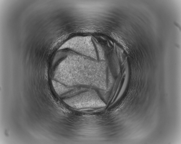 X0000095880681200802081055