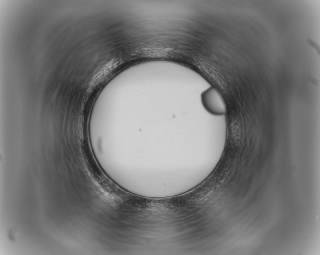 X0000095880682200802081055