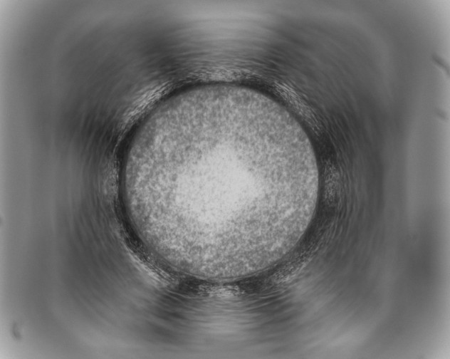 X0000095880683200802081055