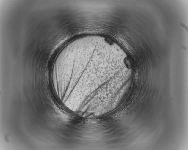 X0000095880684200802081055