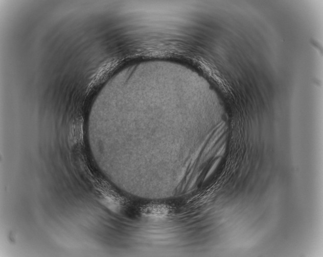 X0000095880685200802081055