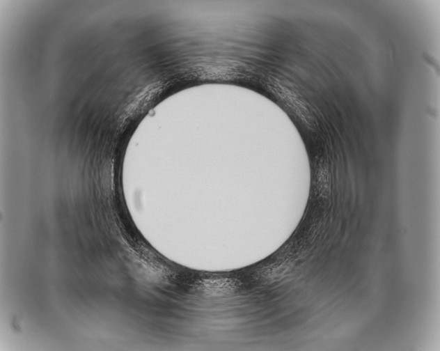 X0000095880686200802081055