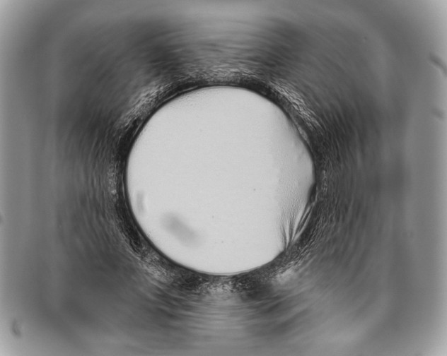 X0000095880687200802081055