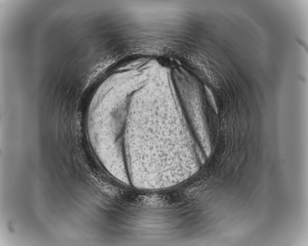 X0000095880688200802081055