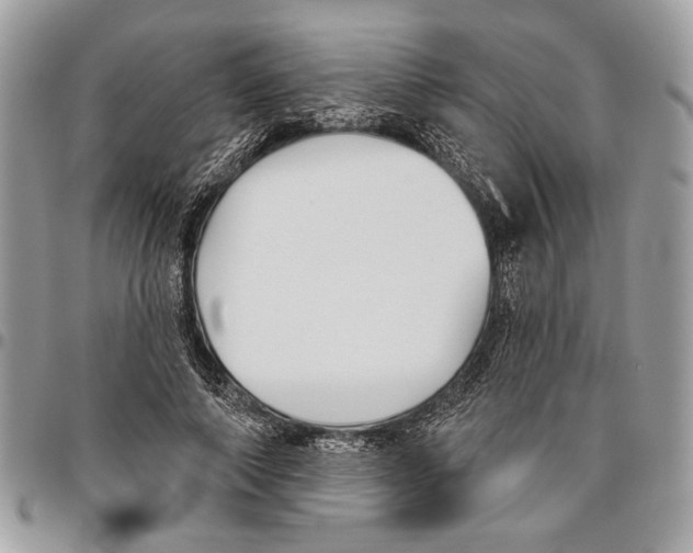 X0000095880690200802081055