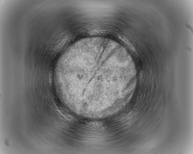 X0000095880691200802081055