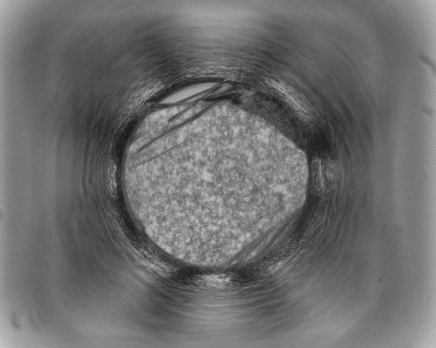 X0000095880692200802081055