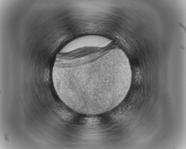 X0000095880693200802081055