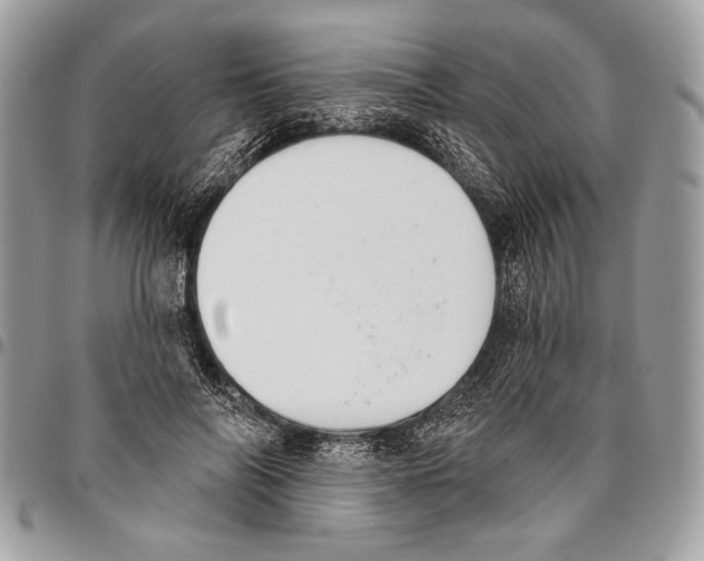 X0000095880694200802081055