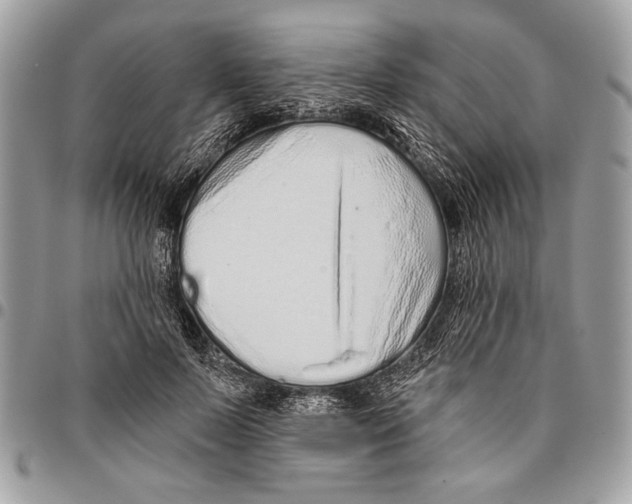 X0000095880695200802081055