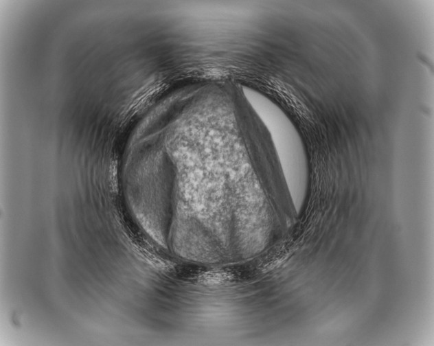 X0000095880696200802081055