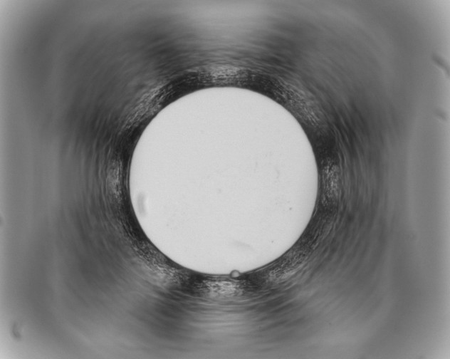 X0000095880698200802081055