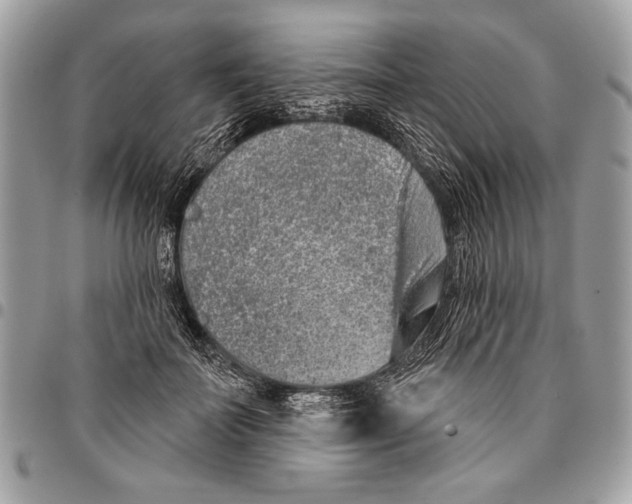 X0000095880699200802081055