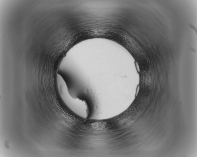 X0000095880700200802081055