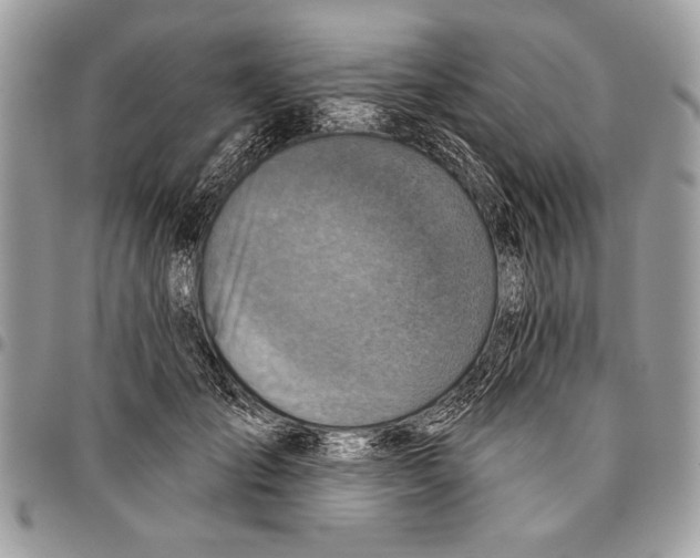 X0000095880701200802081055