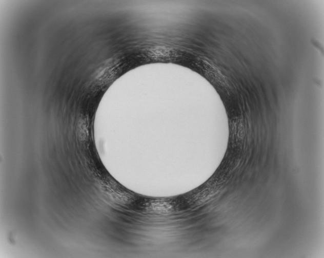 X0000095880702200802081055