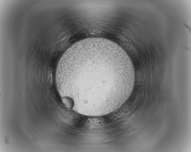 X0000095880703200802081054