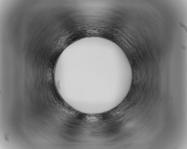 X0000095880706200802081054