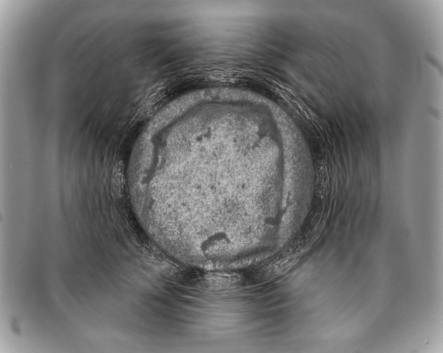 X0000095880707200802081054