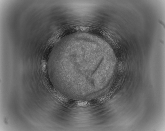 X0000095880709200802081054