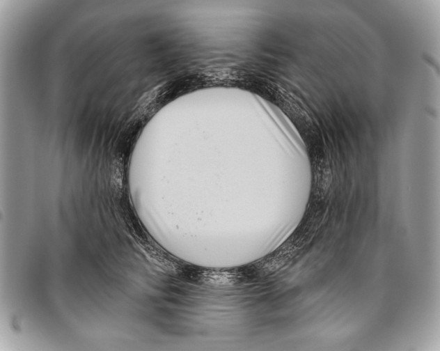 X0000095880710200802081054