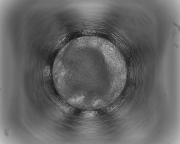 X0000095880711200802081054