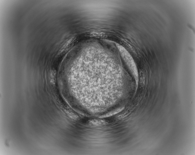 X0000095880712200802081054