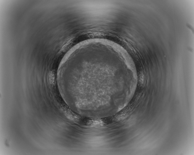 X0000095880715200802081054