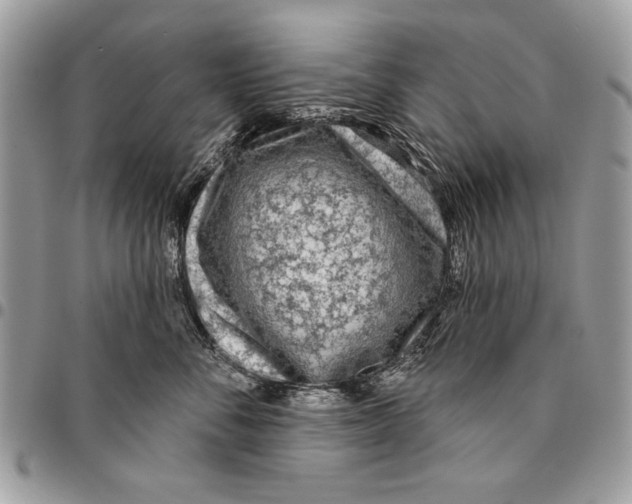 X0000095880716200802081054