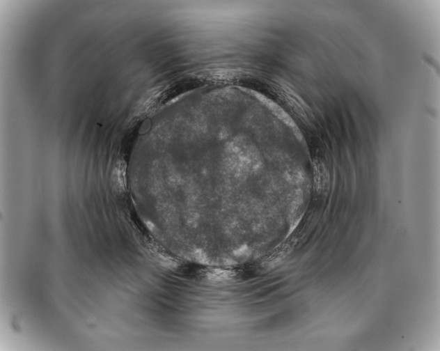 X0000095880718200802081054