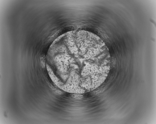 X0000095880719200802081054