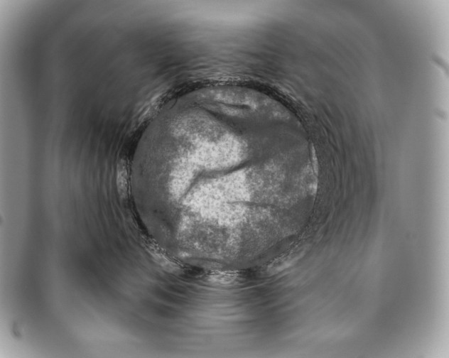 X0000095880720200802081054