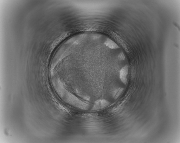 X0000095880721200802081053