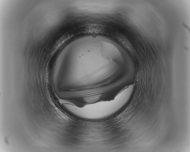 X0000095880722200802081053