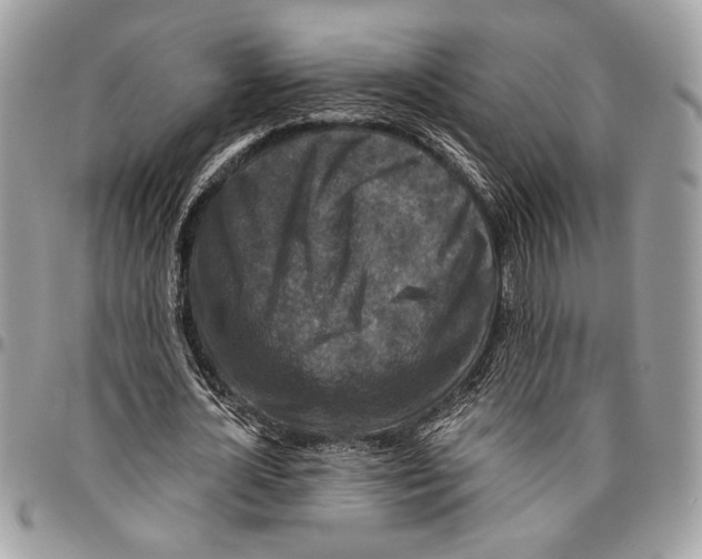 X0000095880724200802081053