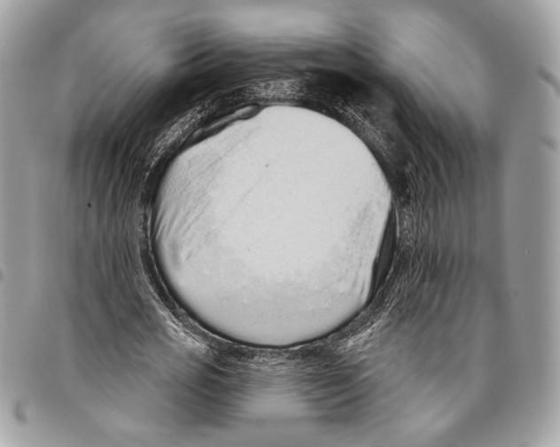 X0000095880725200802081053