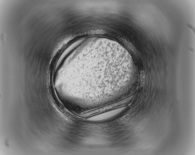 X0000095880726200802081054