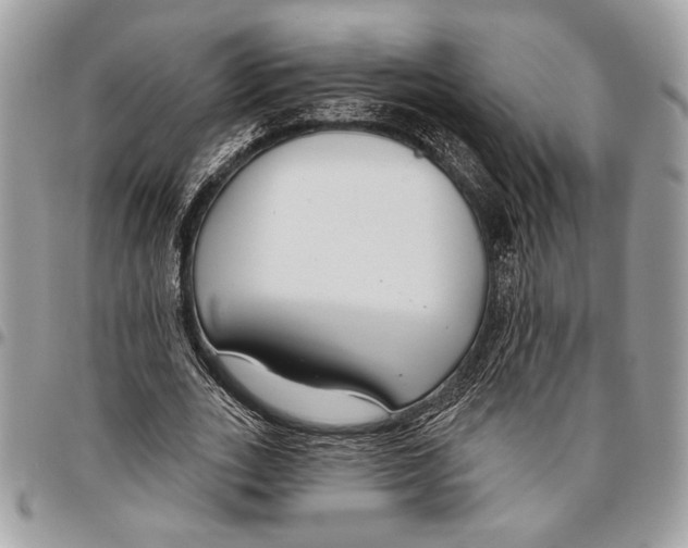 X0000095880727200802081054