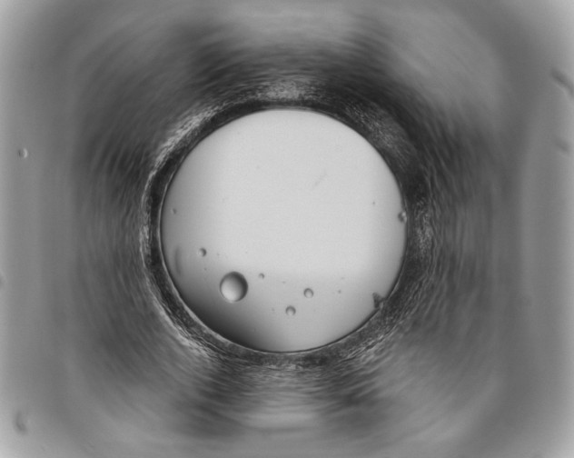 X0000095880728200802081054