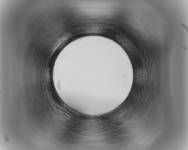 X0000095880731200802081054